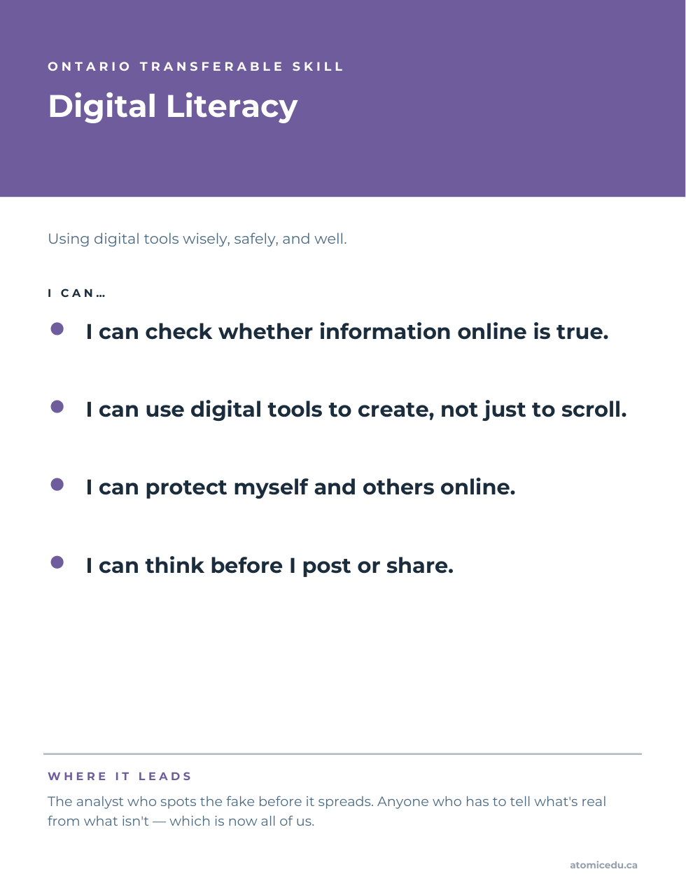 Preview of the Digital Literacy poster